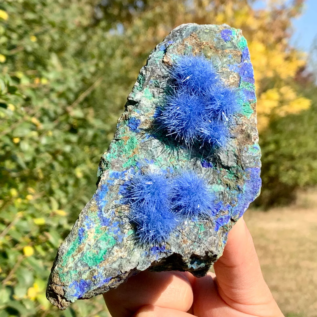 50-80G Dandelion Zeolite Quartz Crystal Cluster Mineral Rock Specimen COllection
