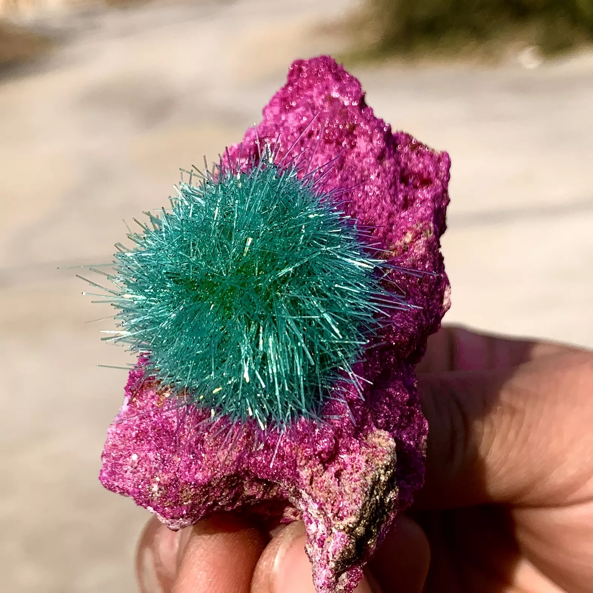 50-80G Rare Indian Dandelion Zeolite Quartz Healing Crystal Mineral Rock Gifts