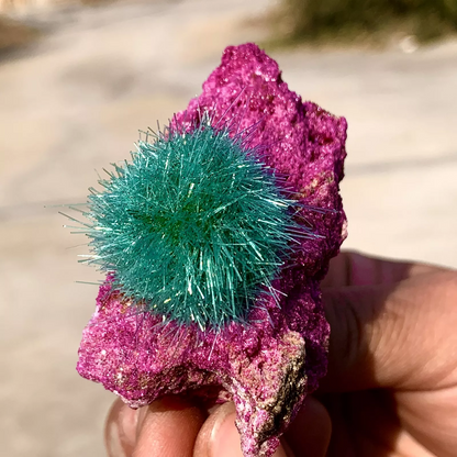 50-80G Rare Indian Dandelion Zeolite Quartz Healing Crystal Mineral Rock Gifts