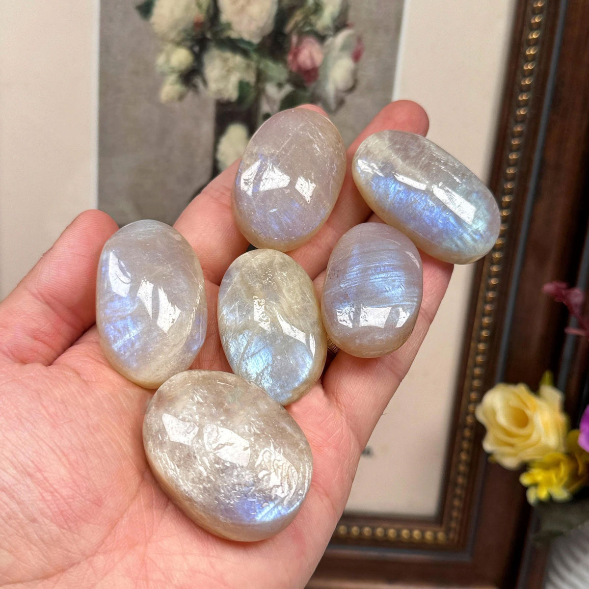 Natural Rainbow Moonstone Palm Stone Polished Healing Crystal for Meditation 1pc